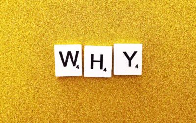 Why is ‘WHY’ Important?